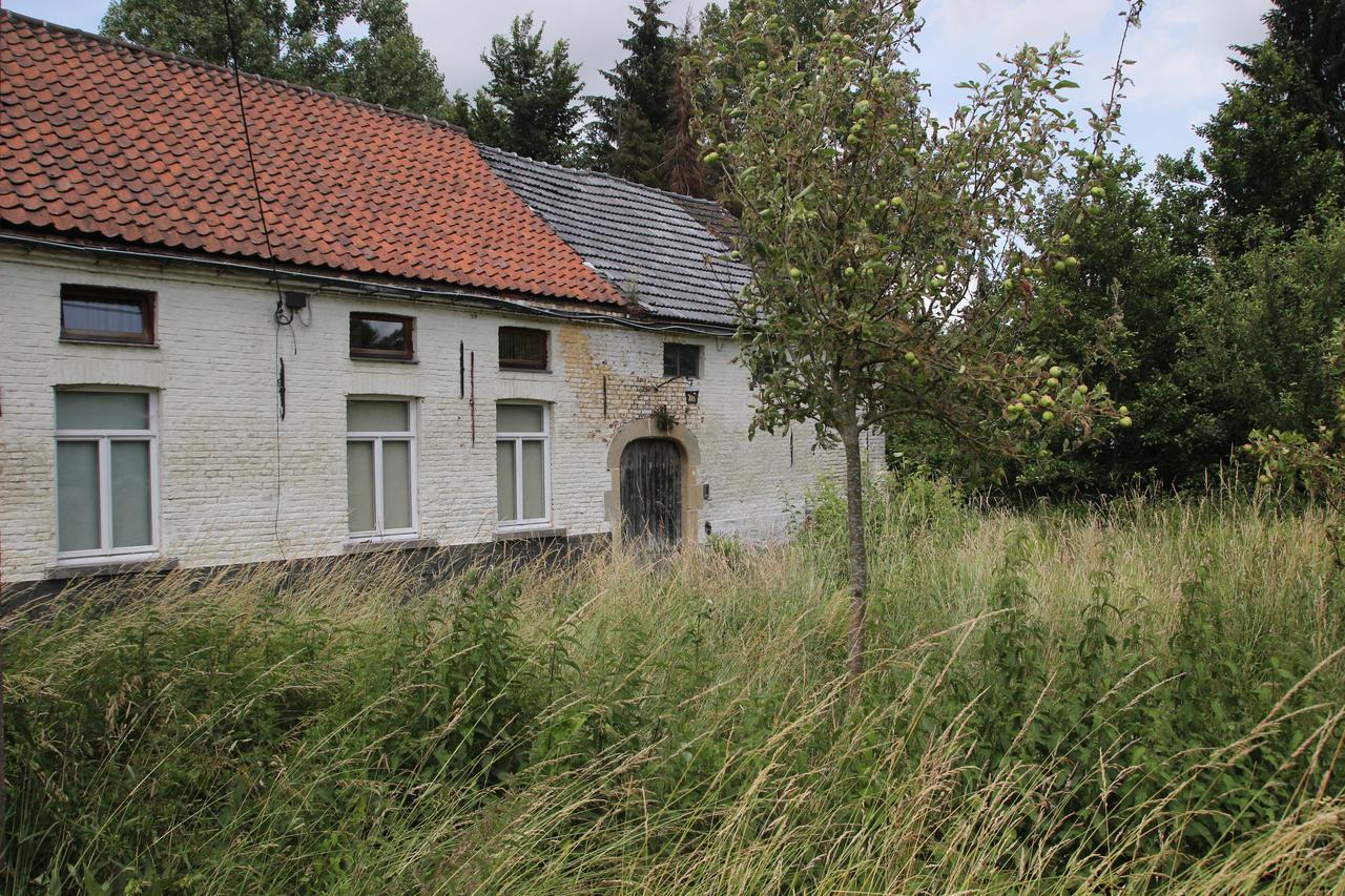B&B Dotter 17 Erpe-Mere Exterior foto