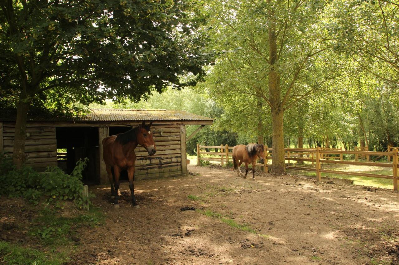 B&B Dotter 17 Erpe-Mere Exterior foto